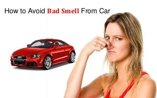 How to Avoid Bad Smell From Car
 