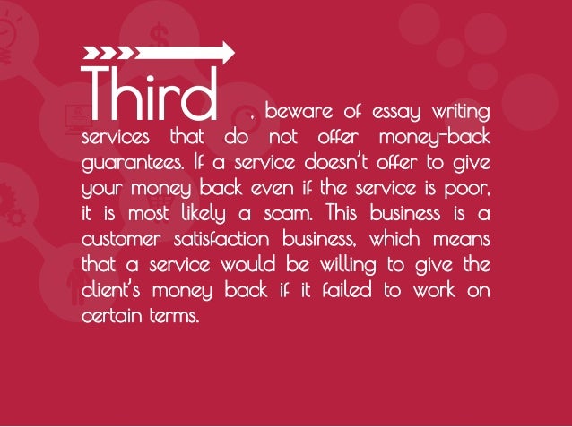 New York Essays essay scam