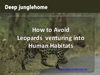 How to Avoid
Leopards venturing into
Human Habitats

http://www.campstream.net

 