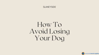 How To
Avoid Losing
Your Dog
SLANEYSIDE
 