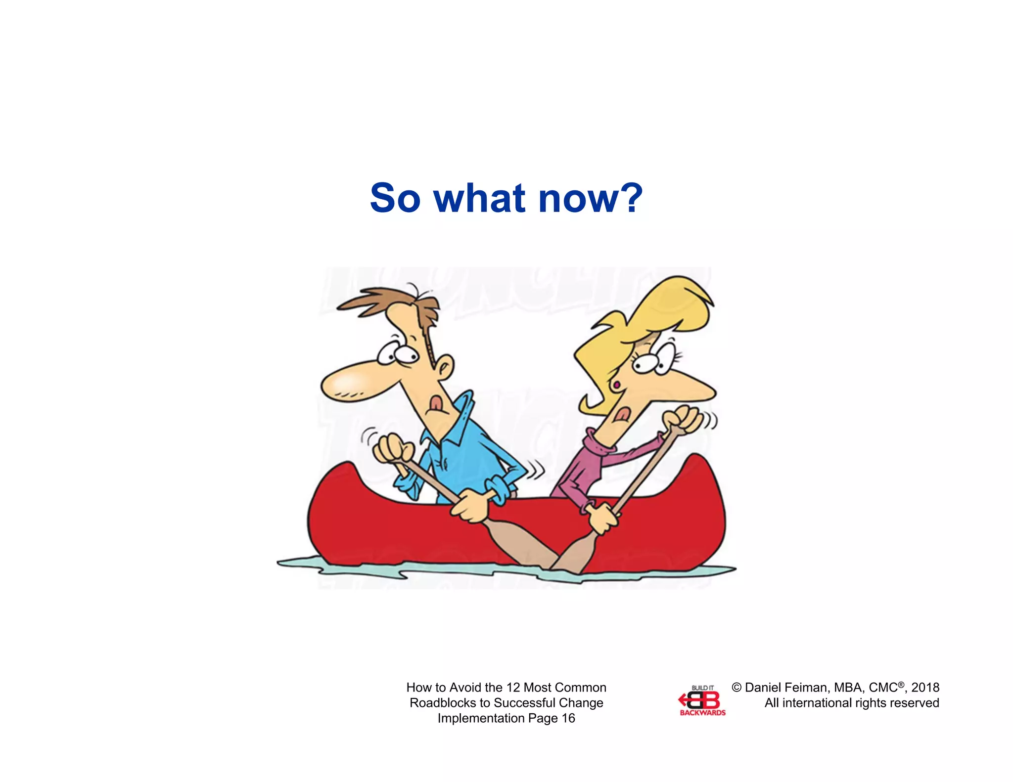 © Daniel Feiman, MBA, CMC®, 2018
All international rights reserved
How to Avoid the 12 Most Common
Roadblocks to Successful Change
Implementation Page 16
So what now?
 