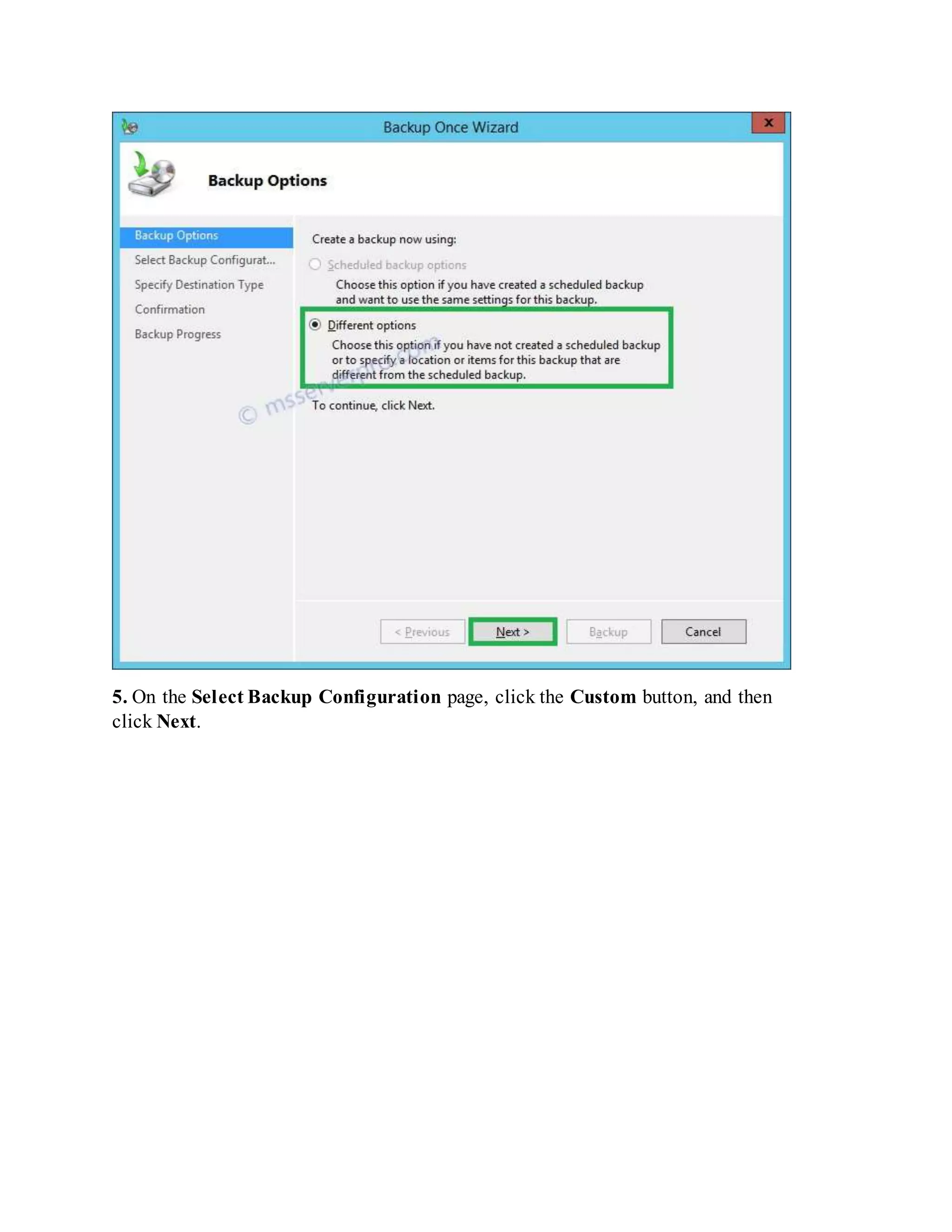 5. On the Select Backup Configuration page, click the Custom button, and then
click Next.
 
