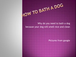 Why do you need to bath a dog
because your dog will smell nice and clean
Pictures from google
 