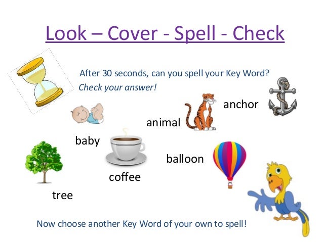 speller