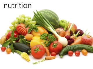nutrition 
 