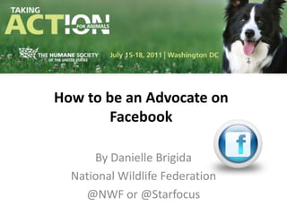 How to be an Advocate on Facebook By Danielle Brigida National Wildlife Federation @NWF or @Starfocus 