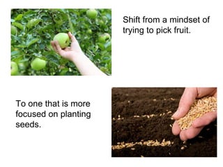 Shift from a mindset of
trying to pick fruit.
To one that is more
focused on planting
seeds.
 