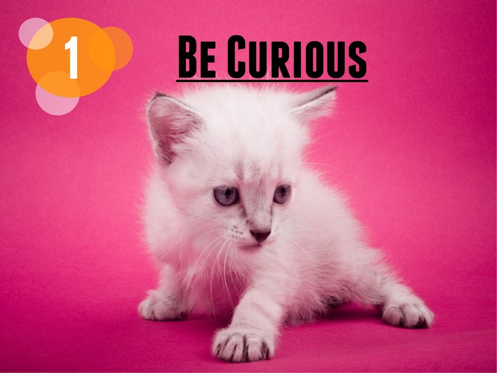 1 Be Curious