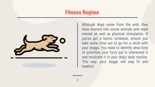 Fitness Regime
4
Although dogs come from the wild, they
have evolved into social animals and need
mental as well as physical stimulation. If
you’ve got a hectic schedule, ensure you
take some time out to go for a stroll with
your doggo. You need to identify what kind
of activities your furry pal is interested it
and inculcate it in your dog’s daily routine.
This way, your doggo will stay fit and
healthy!
 