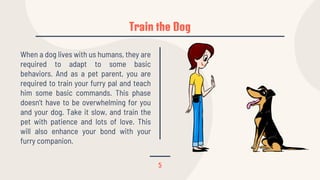 Train the Dog
5
When a dog lives with us humans, they are
required to adapt to some basic
behaviors. And as a pet parent, you are
required to train your furry pal and teach
him some basic commands. This phase
doesn’t have to be overwhelming for you
and your dog. Take it slow, and train the
pet with patience and lots of love. This
will also enhance your bond with your
furry companion.
 