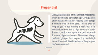 Proper Diet
6
Diet & nutrition are of the utmost importance
when it comes to caring for a pet. Pet parents
often make a mistake of feeding table scraps
& human food to their pets. This is okay as
long as you’re not making a habit out of it.
Human food contains a high amount of carbs
& starch, which was upset the pet’s stomach
& cause digestive issues. Therefore, always
prefer to give pet food to your dog that is high
in nutrition and developed according to your
dog’s requirement.
 