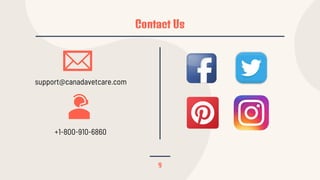 Contact Us
9
support@canadavetcare.com
+1-800-910-6860
 