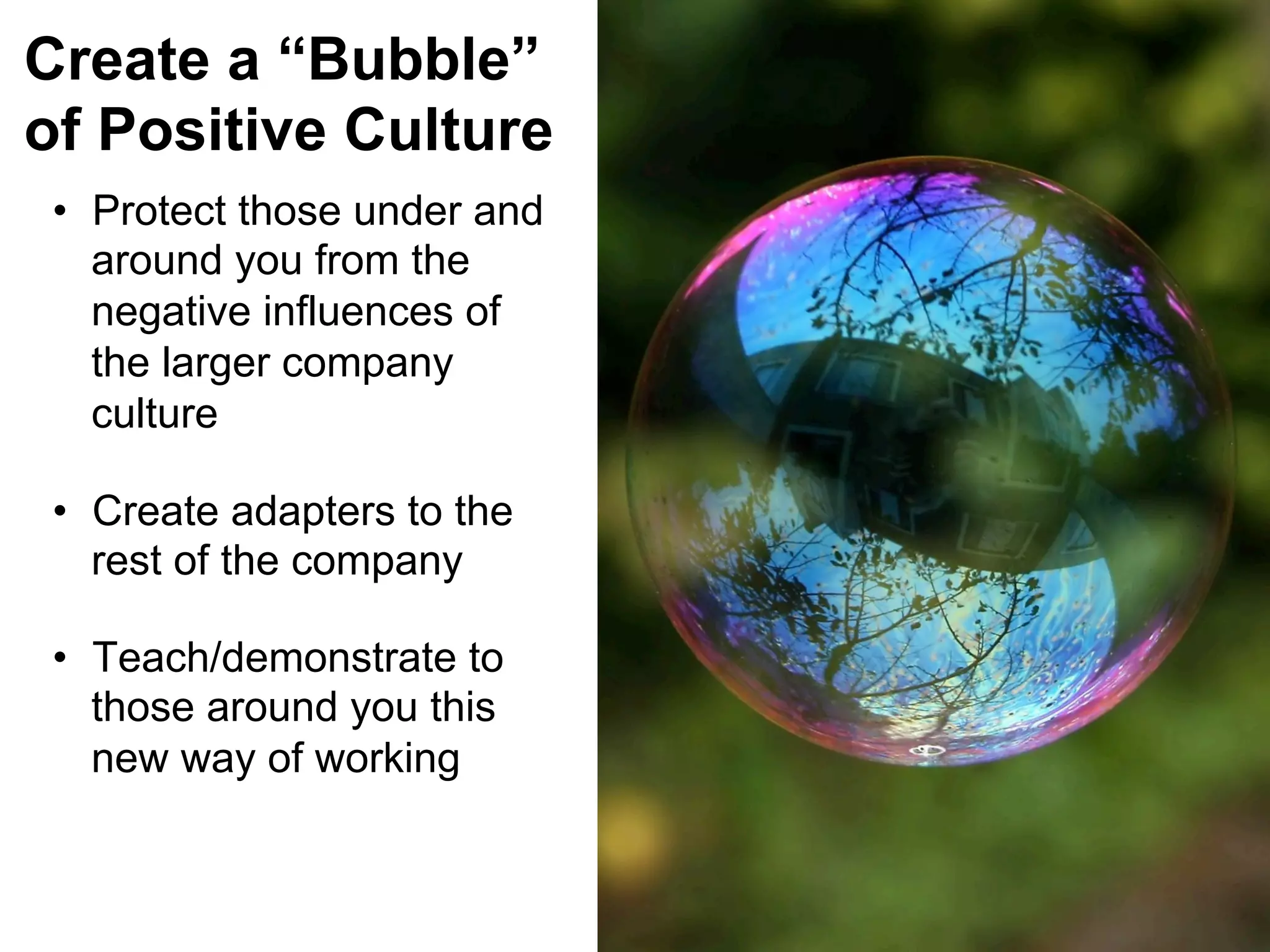 Create a “Bubble”
of Positive Culture
•  Protect those under and
around you from the
negative influences of
the larger company
culture
•  Create adapters to the
rest of the company
•  Teach/demonstrate to
those around you this
new way of working

 