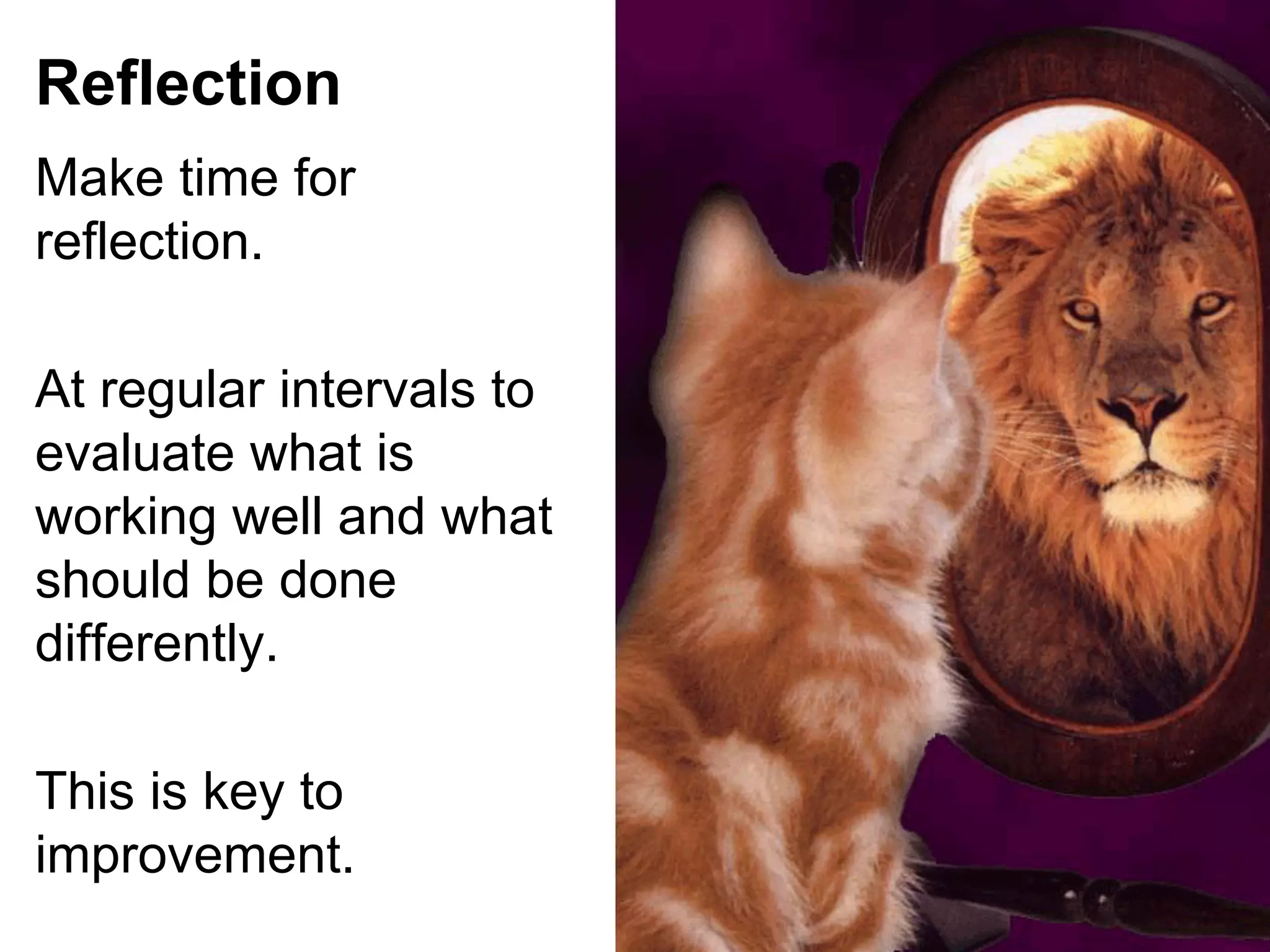 Reflection
Make time for
reflection.
At regular intervals to
evaluate what is
working well and what
should be done
differently.
This is key to
improvement.

 