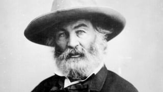 How to be a writing god