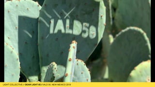 LIGHT COLLECTIVE
LIGHT COLLECTIVE // DEAR LIGHT #2 // IALD 50, NEW MEXICO 2019
 
