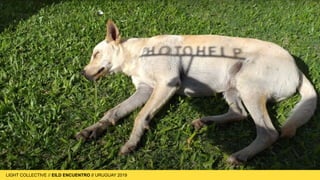 LIGHT COLLECTIVE
LIGHT COLLECTIVE // EILD ENCUENTRO // URUGUAY 2019
 