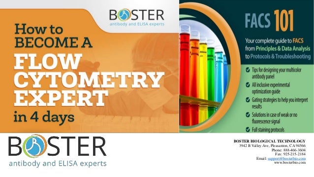 How To Become A Flow Cytometry Expert In 4 Days