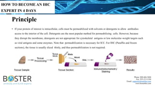 How to become an IHC expert in 4 days | PDF