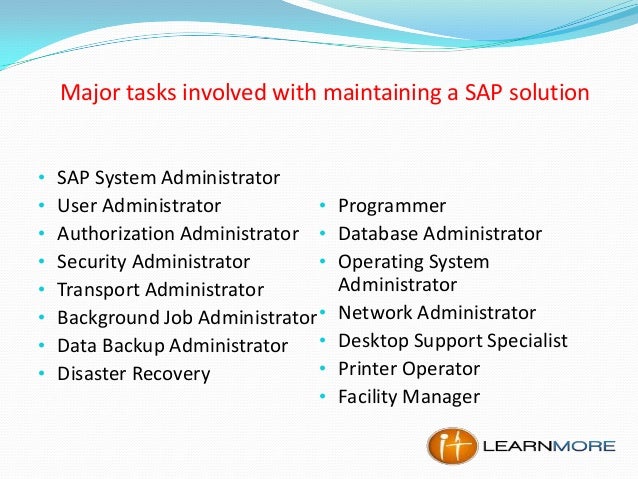 What Are The Roles And Responsibilities Of Sap Basis Consultant | The  Company Standard