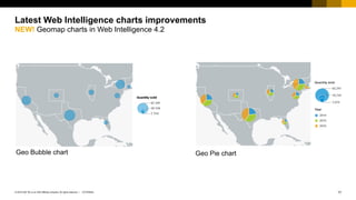 How to become a visualization guru in Web Intelligence | PDF