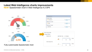 How to become a visualization guru in Web Intelligence | PDF