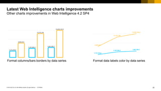 How to become a visualization guru in Web Intelligence | PDF