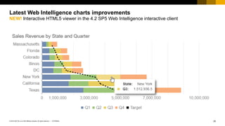 How to become a visualization guru in Web Intelligence | PDF