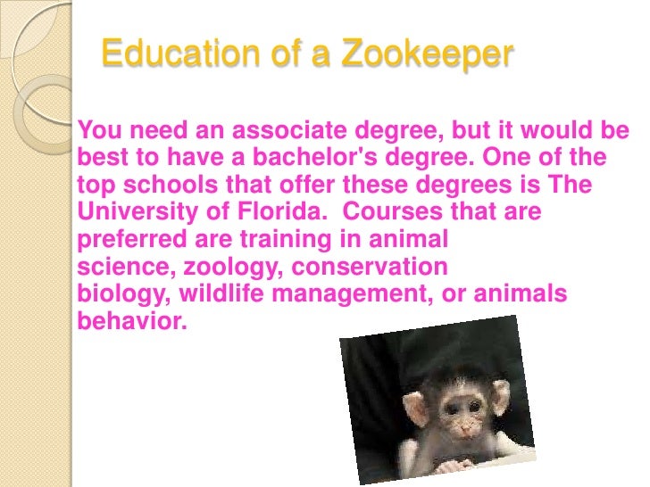 How to a zookeeper by avery scott