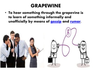 GRAPEWINE
• To hear something through the grapevine is
to learn of something informally and
unofficially by means of gossi...