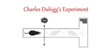 Charles Duhigg’s Experiment
 