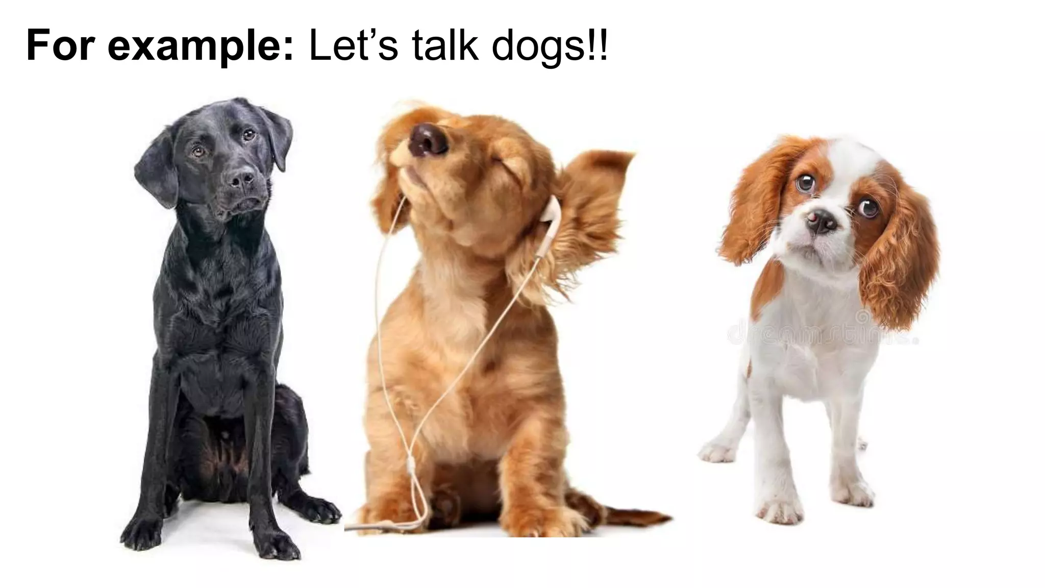 Slide 31