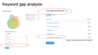 Keyword gap analysis
WHAT DOG SHOULD I GET QUIZ?
 
