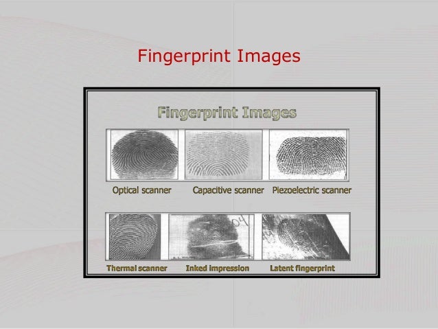 How To Biometric Fingerprint Reader S Scanners Work How To Biometric Fingerprint Reader S Scanners Work