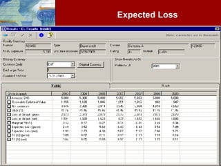 Expected Loss 