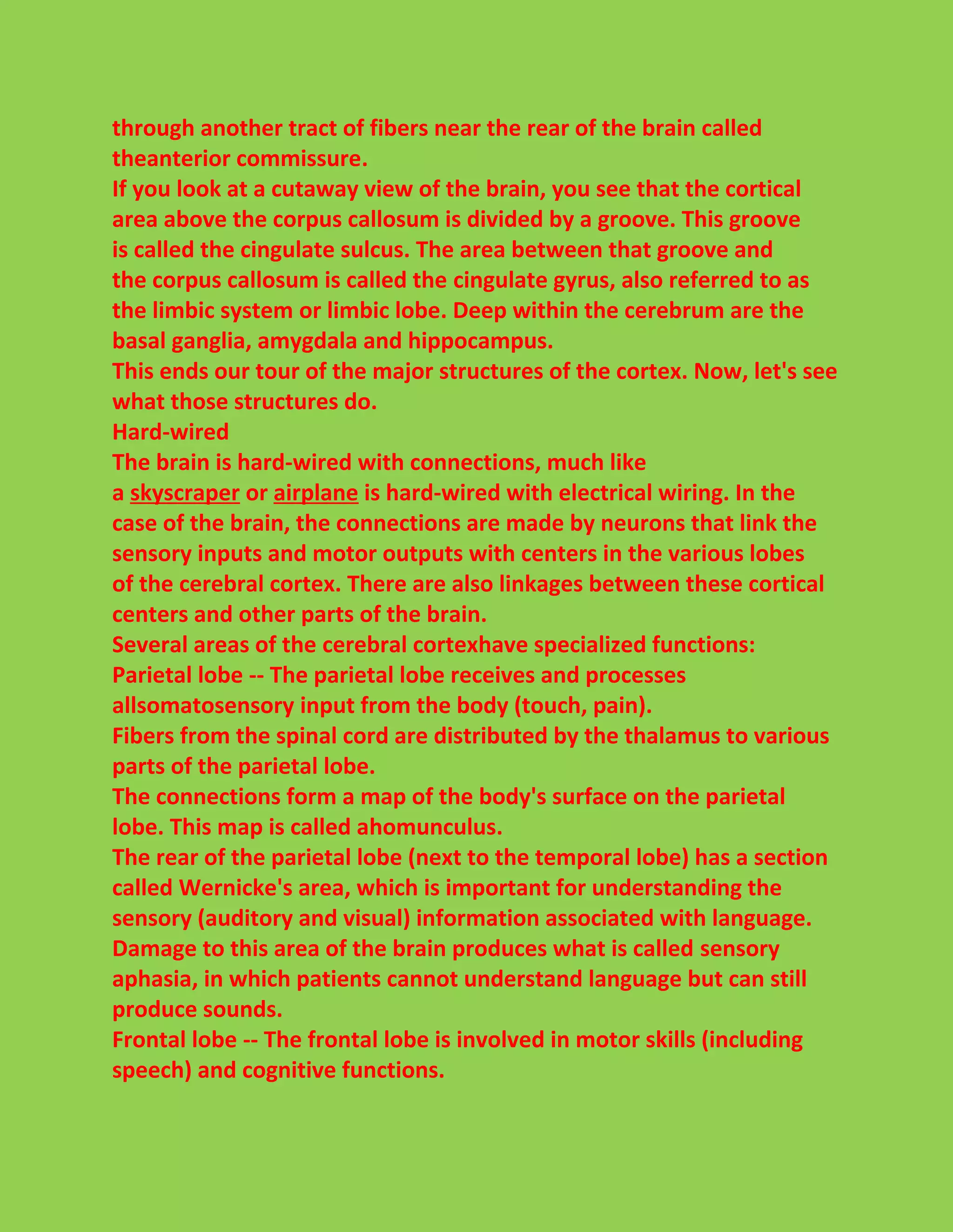 through another tract of fibers near the rear of the brain called 
theanterior commissure. 
If you look at a cutaway view of the brain, you see that the cortical 
area above the corpus callosum is divided by a groove. This groove 
is called the cingulate sulcus. The area between that groove and 
the corpus callosum is called the cingulate gyrus, also referred to as 
the limbic system or limbic lobe. Deep within the cerebrum are the 
basal ganglia, amygdala and hippocampus. 
This ends our tour of the major structures of the cortex. Now, let's see 
what those structures do. 
Hard-wired 
The brain is hard-wired with connections, much like 
a skyscraper or airplane is hard-wired with electrical wiring. In the 
case of the brain, the connections are made by neurons that link the 
sensory inputs and motor outputs with centers in the various lobes 
of the cerebral cortex. There are also linkages between these cortical 
centers and other parts of the brain. 
Several areas of the cerebral cortexhave specialized functions: 
Parietal lobe -- The parietal lobe receives and processes 
allsomatosensory input from the body (touch, pain). 
Fibers from the spinal cord are distributed by the thalamus to various 
parts of the parietal lobe. 
The connections form a map of the body's surface on the parietal 
lobe. This map is called ahomunculus. 
The rear of the parietal lobe (next to the temporal lobe) has a section 
called Wernicke's area, which is important for understanding the 
sensory (auditory and visual) information associated with language. 
Damage to this area of the brain produces what is called sensory 
aphasia, in which patients cannot understand language but can still 
produce sounds. 
Frontal lobe -- The frontal lobe is involved in motor skills (including 
speech) and cognitive functions. 
 