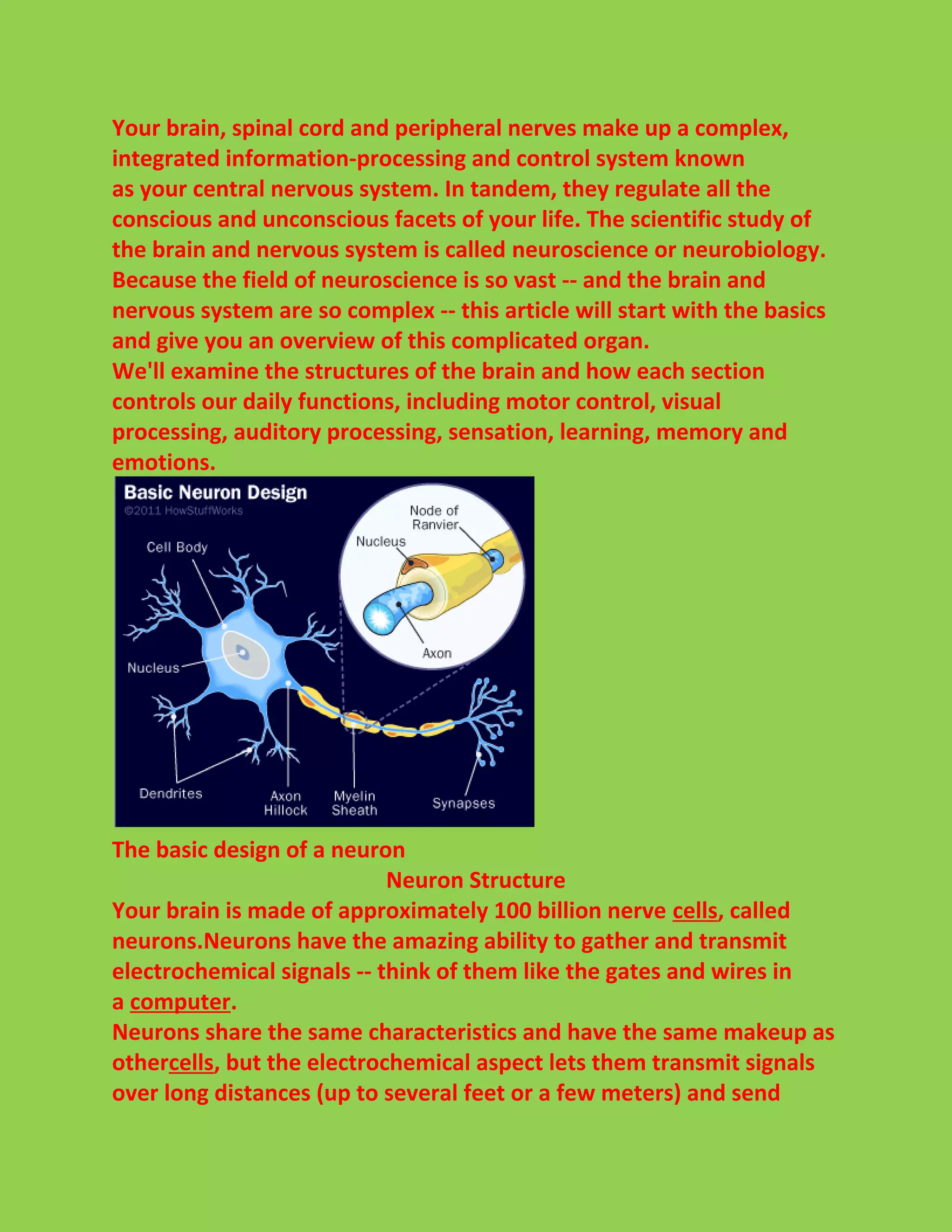 Your brain, spinal cord and peripheral nerves make up a complex, 
integrated information-processing and control system known 
as your central nervous system. In tandem, they regulate all the 
conscious and unconscious facets of your life. The scientific study of 
the brain and nervous system is called neuroscience or neurobiology. 
Because the field of neuroscience is so vast -- and the brain and 
nervous system are so complex -- this article will start with the basics 
and give you an overview of this complicated organ. 
We'll examine the structures of the brain and how each section 
controls our daily functions, including motor control, visual 
processing, auditory processing, sensation, learning, memory and 
emotions. 
The basic design of a neuron 
Neuron Structure 
Your brain is made of approximately 100 billion nerve cells, called 
neurons.Neurons have the amazing ability to gather and transmit 
electrochemical signals -- think of them like the gates and wires in 
a computer. 
Neurons share the same characteristics and have the same makeup as 
othercells, but the electrochemical aspect lets them transmit signals 
over long distances (up to several feet or a few meters) and send 
 