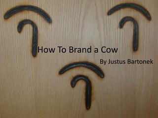 How To Brand a Cow By Justus Bartonek 