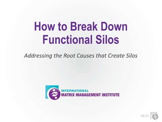 How to Break Down
Functional Silos
Addressing the Root Causes that Create Silos
v0.11
 