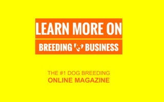 LEARN MORE ON
THE #1 DOG BREEDING
ONLINE MAGAZINE
 