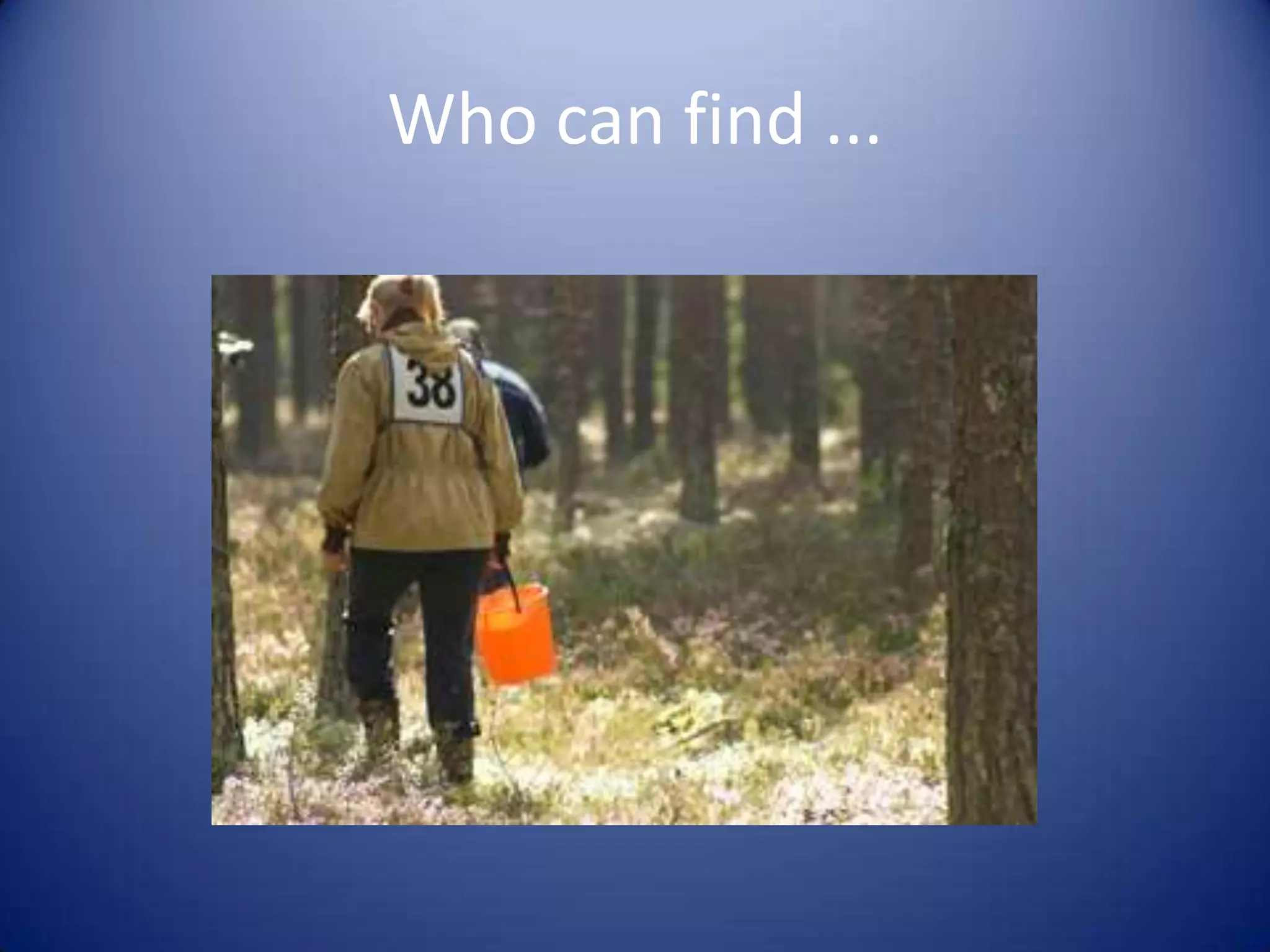 Who can find ...