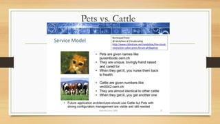 Pets vs. Cattle
 