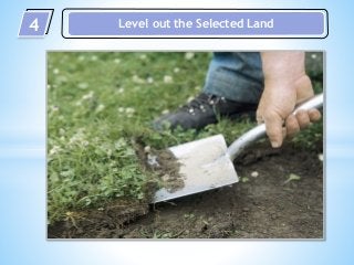 4 Level out the Selected Land
 
