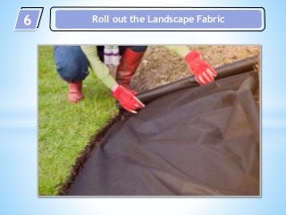 6 Roll out the Landscape Fabric
 