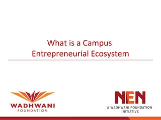 What is a Campus
Entrepreneurial Ecosystem
 