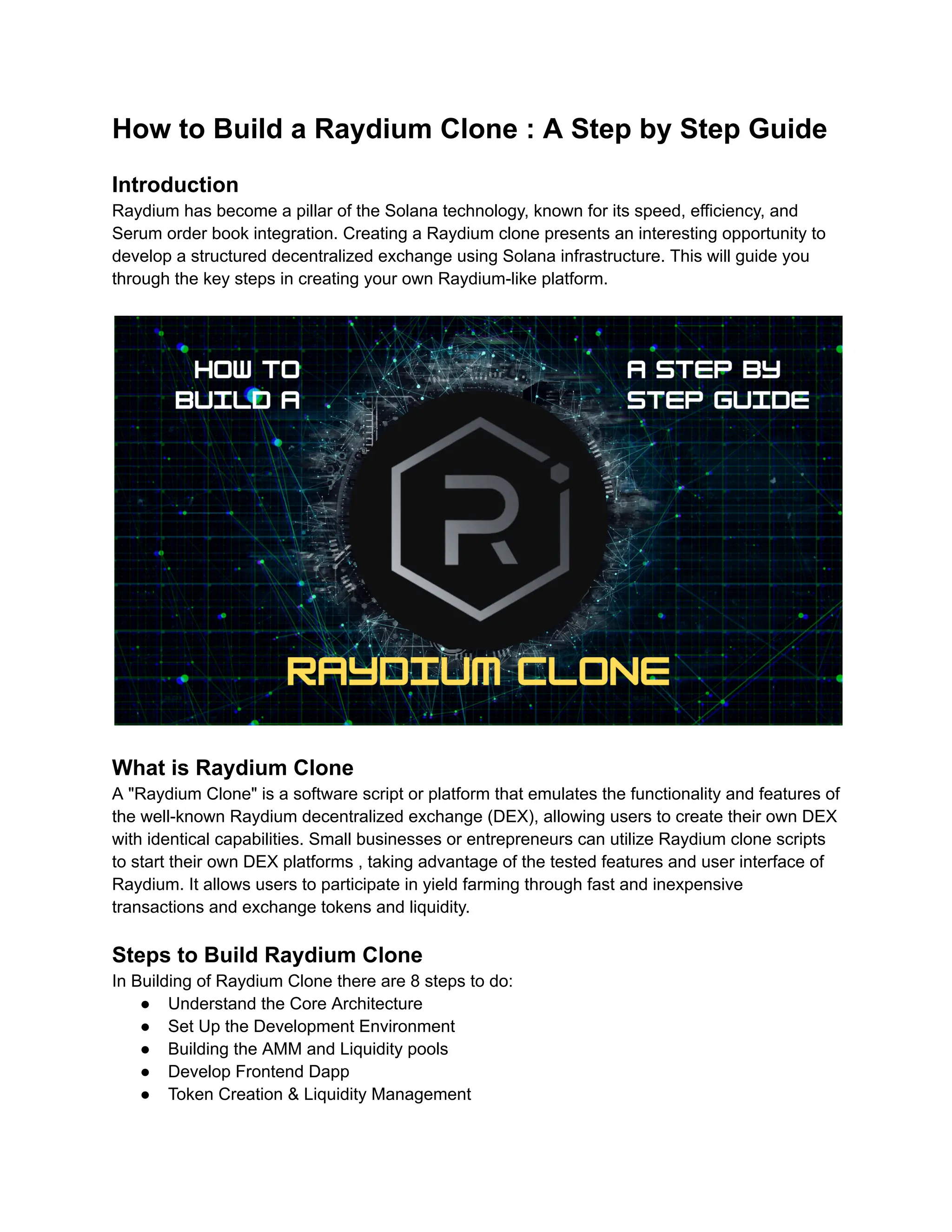 How to Build a Raydium Clone _ A Step by Step Guide.pdf