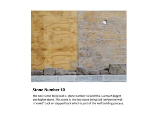 Stone Number 10
The next stone to be laid is stone number 10 and this is a much bigger
and higher stone. This stone is the last stone being laid before the wall
is ‘raked’ back or stepped back which is part of the wall building process.
 