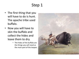 			Step 1				The first thing that you will have to do is hunt. The apache tribe used buffalo. Now you will have to skin the buffalo and collect the hides and leave them to dry. The hides of the buffalo are the things you will need as the main part of the teepee. 
