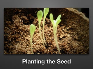 Planting the Seed
 