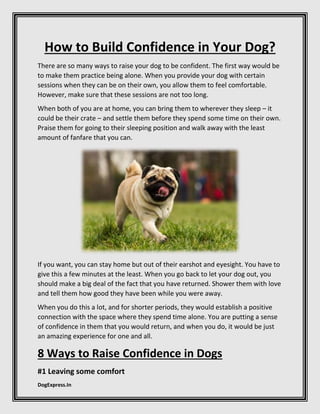 DogExpress.In
How to Build Confidence in Your Dog?
There are so many ways to raise your dog to be confident. The first way would be
to make them practice being alone. When you provide your dog with certain
sessions when they can be on their own, you allow them to feel comfortable.
However, make sure that these sessions are not too long.
When both of you are at home, you can bring them to wherever they sleep – it
could be their crate – and settle them before they spend some time on their own.
Praise them for going to their sleeping position and walk away with the least
amount of fanfare that you can.
If you want, you can stay home but out of their earshot and eyesight. You have to
give this a few minutes at the least. When you go back to let your dog out, you
should make a big deal of the fact that you have returned. Shower them with love
and tell them how good they have been while you were away.
When you do this a lot, and for shorter periods, they would establish a positive
connection with the space where they spend time alone. You are putting a sense
of confidence in them that you would return, and when you do, it would be just
an amazing experience for one and all.
8 Ways to Raise Confidence in Dogs
#1 Leaving some comfort
 